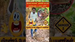 அனகோண்டா பாம்பா ah?😱 | கொடைக்கானல் Views Vlog | #reels #shorts | kuchi ice