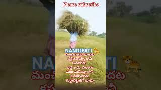 భద్రాచలం శ్రీహరి