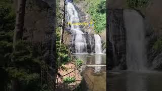 ☄️ வெள்ளி நீர்வீழ்ச்சி பூங்கா#கொடைக்கானல்#silver cascade Park