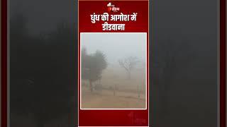 Rajasthan Weather Update: धुंध की आगोश में डीडवाना | Winter Season | Fog In Didwana