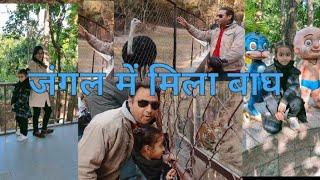 देहरादून चिड़ियाघर के खूंखार जानवर | Dehradun Zoo | Dehradun Uttarakhand Zoo |