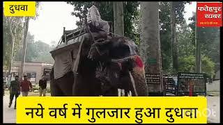 FATEHPUR KHABAR:-लखीमपुर खीरी का दुधवा नये वर्ष के मौके पर हुआ गुलजार