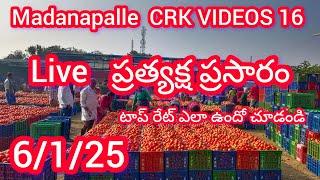 6/1/25  Tomato rates Madanapalle 🍅 మదనపల్లె టమాటా రేట్లు