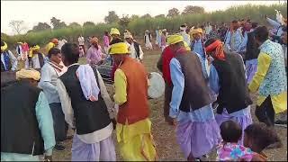 डंडार डांस  betul chicholi village sabadana gondi