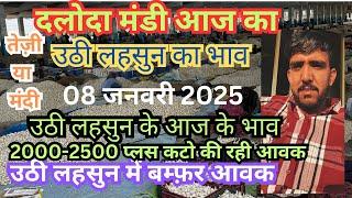 उठी लहसुन के आज के दलोदा मंडी भाव 08/01/2025 ।today uthi lahsun ke bhav | daloda mandi uthi bhav |