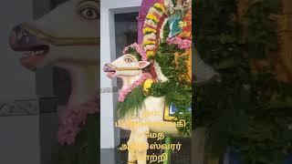 🙏 அரிய பொருளே அவிநாசி அப்பா போற்றி ஓம் பிரஹன்நாயகி சமேத அதிதிஸ்வரர் போற்றி வாணியம்பாடி 🙏🙏🙏🙏