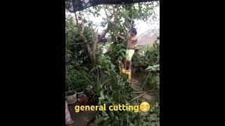 Kung may general cleaning, jaun pud general cutting😁