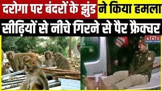 Auraiya News:बंदरों ने दौड़ाया तो छत से नीचे गिरे दारोगा,पैर हुआ फ्रैक्चर | Monkey Terror In Auraiya