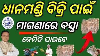 dhan Mandi/ ଧାନ ବିକ୍ରି ପାଇଁ ମାଗଣାରେ କେମିତି ମିଲବ ବସ୍ତା ଜାଣନ୍ତୁ/Odisha dhan mandi 2024-25/Dhan mandi