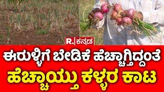 Onion Robbery in Farmers Agriculture Land: ಈರುಳ್ಳಿಗೆ ಬೇಡಿಕೆ ಹೆಚ್ಚಾಗ್ತಿದ್ದಂತೆ ಹೆಚ್ಚಾಯ್ತು ಕಳ್ಳರ ಕಾಟ