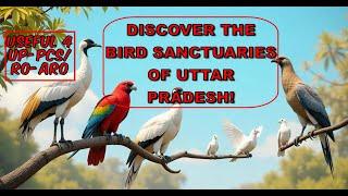 Discover the Bird Sanctuaries of Uttar Pradesh!