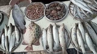 पालघर फिश मार्केट | Amazing Fish Markets In Palghar | Athavda Bazar In Palghar