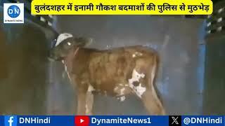 Encounter between wanted cow smugglers and police in Bulandshahr