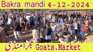 Bakra mandi dongi kotli mirpur beetal goats Rajanpuri goats in bakra mandi Azad kashmir punjab