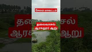 தலைவாசல் ஆறு காடாக மாறிய பரிதாபம்