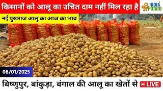 06/01/2025 : बंगाल की बिष्णुपुर का नई आलू का आज का भाव | New Potato Price in WB - India Potato News