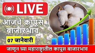 🔴07 जानेवारी | आजचे कापूस बाजारभाव | कापूस बाजारभाव हिंगणघाट | Kapus Bhav today live