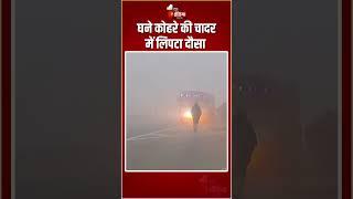 Rajasthan Weather Update: घने कोहरे की चादर में लिपटा दौसा | Fog In Dausa | Winter Season |Cold Wave