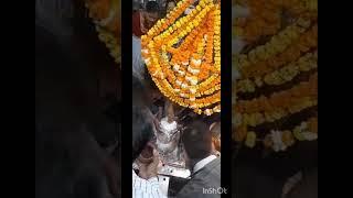 दिव्य आरती दर्शन 20/11/24 प्राचीन मंदिर पांडा बाग फर्रुखाबाद🙏🙏🙏 मंदिर के ओरिजिनल साउंड में