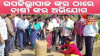 ଡୁଙ୍ଗୁରିପାଲି ଠାରେ ଧାନ କିଣା ଆରମ୍ଭ | କୃଷକ ସମସ୍ୟା ନେଇ ଚାଷୀ ଙ୍କର ଅଭିଯୋଗ | Odia News | Odisha News