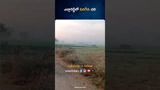 ఎల్లారెడ్డిలో పెరిగిన చలి | Nizamabad | Telangana | Way2news Telugu