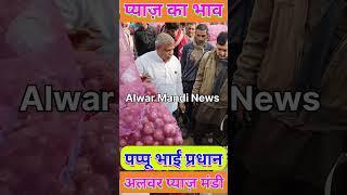 onion market rate today alwar,pappu pradhan alwar mandi today