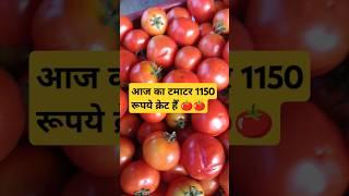 29.11.2024 aaj ka tamatar Bhav Shivrinarayan sabji mandi 🍅 आज का टमाटर भाव शिवरीनारायण सब्जी मंडी