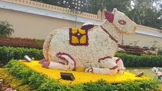 10ನೇ ವರ್ಷದ ಮಾಗಿ ಉತ್ಸವ 10th Flower show ಮೈಸೂರು ಅರಮನೆ ಆವರಣದಲ್ಲಿ ದಿ::21/12/2024ರಿಂದ ದಿ::30/12/2024 ತನಕ.