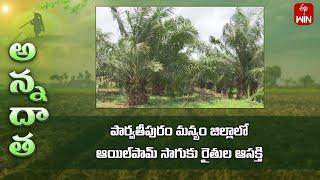 Manyam farmers showing interest in oilpalm farming- Subsidies by local oilpalm factory | ETV