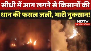 Sidhi: खेत में आग लगने से Farmers की Rice की फसल जली, भारी नुकसान!  Fire | Breaking | Madhya Pradesh