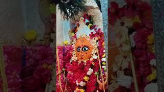 जय मां हरसिद्धि देवी मंदिर रानगिर वाली मैया सागर मध्य प्रदेश 🌺 संध्याकालीन आरती दर्शन 🌺 07/01/2025