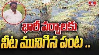 Heavy Rainfall in Anantapur |అనంతపురం జిల్లాలో భారీ వర్షం.. నేలకొరిగిన వరి  పంట | hmtv