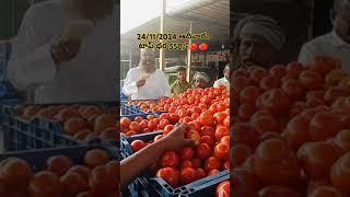 ధర పెరిగింది పుంగనూరు 15 కిలోలు 🍅🍅