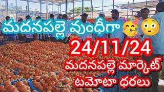 24-11-24 Madanapalle Tomato Market price Today || Today Tomato Market Rate in Madanapalle