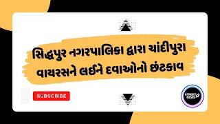 સિદ્ધપુર નગરપાલિકા દ્વારા ચાંદીપુરા વાયરસને લઈને દવાઓનો છંટકાવ...