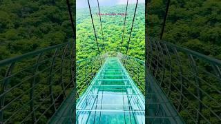 Rajgir glass bridge india bihar nalanda Rajgir glass bridge