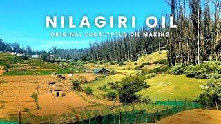 🔥Original நீலகிரி தைலம் தயாரித்தல் | Nilgiri original Eucalyptus oil making | நீலகிரி மலைகிராமம்