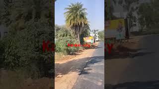 #shorts video# Viral shorts video# Kanker city Chhattisgarh