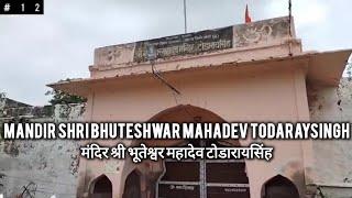 Mandir Shri Bhuteshwar Mahadev Todaraysingh मंदिर श्री भूतेश्वर महादेव टोडारायसिंह