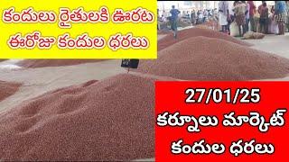 27-01-25 కర్నూలు మార్కెట్ కందులు ధరలు || Kurnool Redgram gram Prices Today