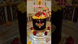 हे बाबा _मूरख अज्ञानी हूं 🙏ShivNandi Omnamahshivay32 कुबेरेश्वरधामव्यासपीठ-य2त