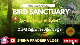 THELINILAPURAM BIRD SANCTUARY TEKKALI , తెలినీలాపురం విహార పక్షుల ఆవాస కేంద్రం టెక్కలి.