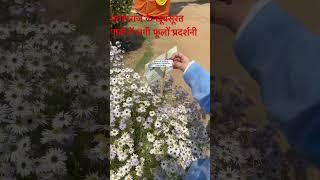 प्रयागराज के ख़ूबसूरत पार्क मे#folwer #shorts #beautiful #park #trending #ytshorts WeRfauzdarBro