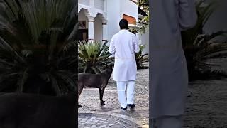 !! Raja Bhaiya - कुंडा "प्रतापगढ़ !