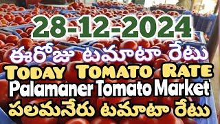 పలమనేరు 🍅🍅🍅టమాటో మార్కెట్ ధరలు 28-12-2024 ||ఈ రోజు టమోటా ధర Palamaner Market||ckgowthamvlogs