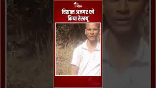 राजसमंद में विशाल अजगर को किया रेस्क्यू | Python Video | Rajasthan Forest Department |Rajsamand News