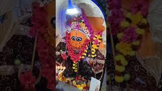 जय मां हरसिद्धि देवी रानगिर वाली मैया सागर मध्य प्रदेश संध्याकालीन आरतीदर्शन 🌺🙏 11/12/2024🌺🙏