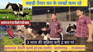 कुमावत डेयरी फार्म हाउस दलोट- प्रतापगढ़ - राजस्थानHf cow dairy farm in dalot Pratapgarh