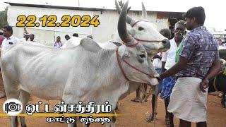 Oddanchatram  mattu santhai | dindigul | ஒட்டன்சத்திரம் மாட்டு சந்தை