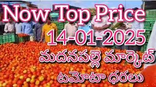 14-01-25#madanapalle tomato market price today